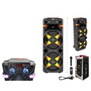 Bocina amplificada doble 12 pulg 100W con microfono y luces de colores